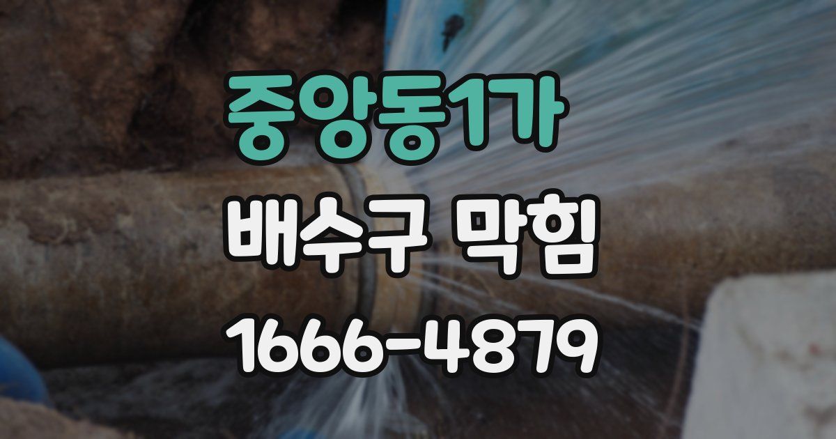 중앙동1가 배수구 막힘
