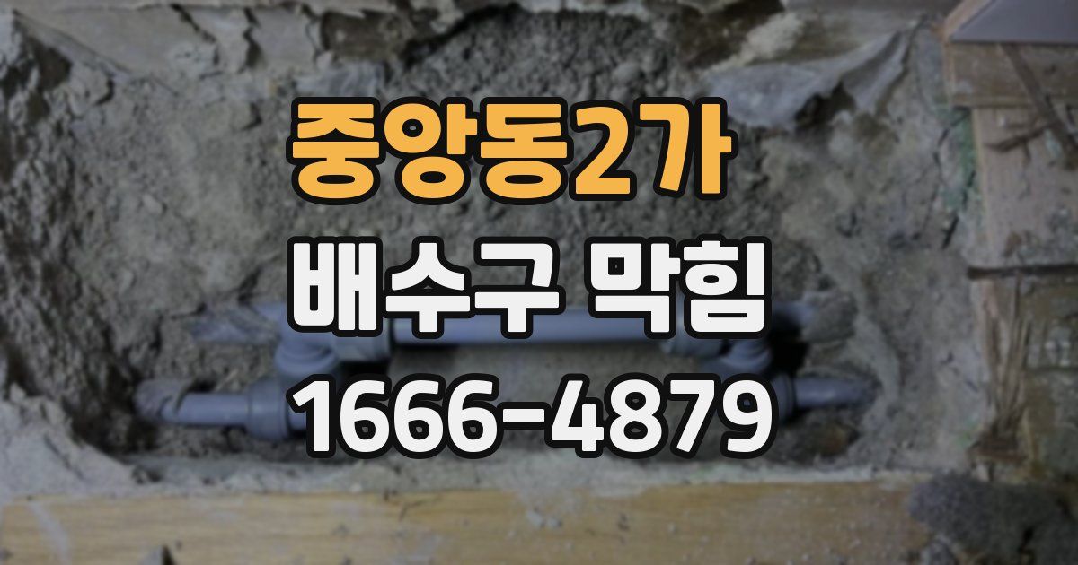 중앙동2가 배수구 막힘