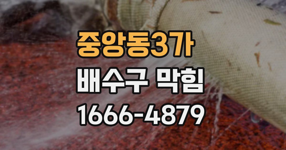 중앙동3가 배수구 막힘