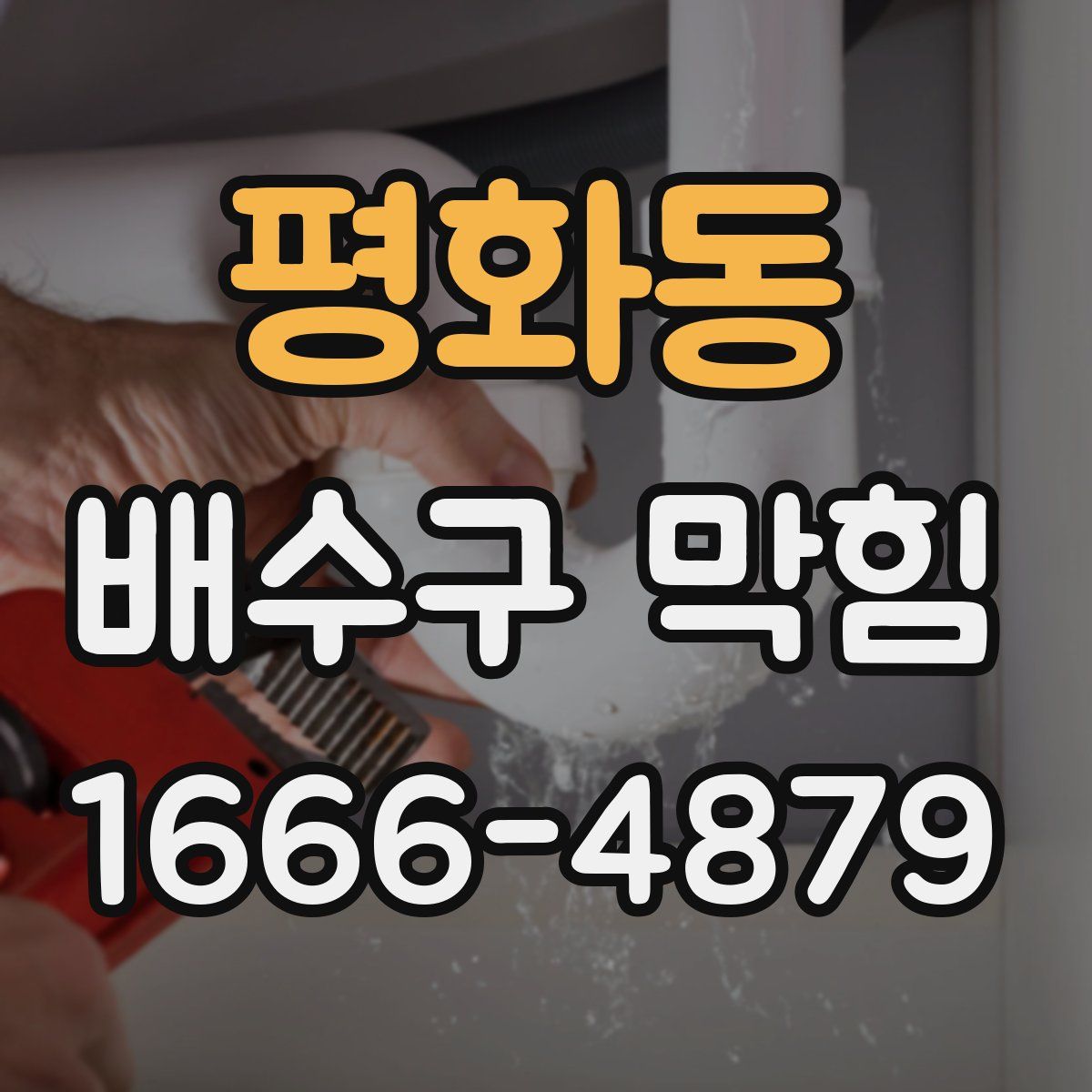 평화동 배수구 막힘