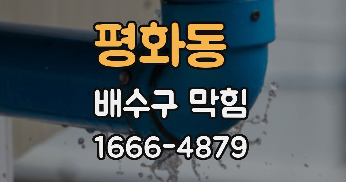 평화동 배수구 막힘