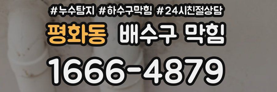 평화동 배수구 막힘
