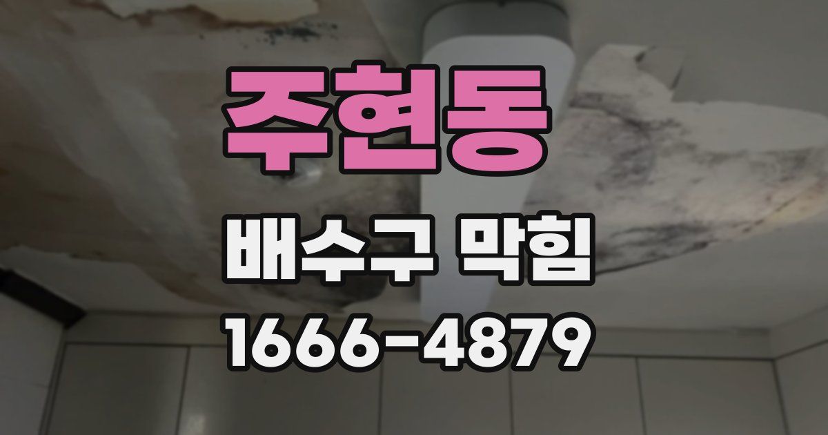 주현동 배수구 막힘