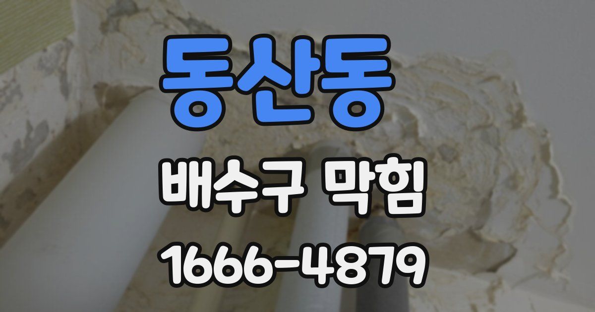 동산동 배수구 막힘