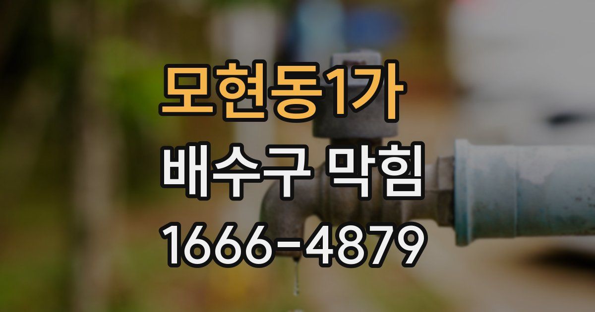 모현동1가 배수구 막힘