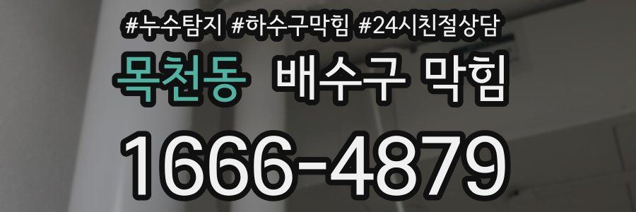 목천동 배수구 막힘