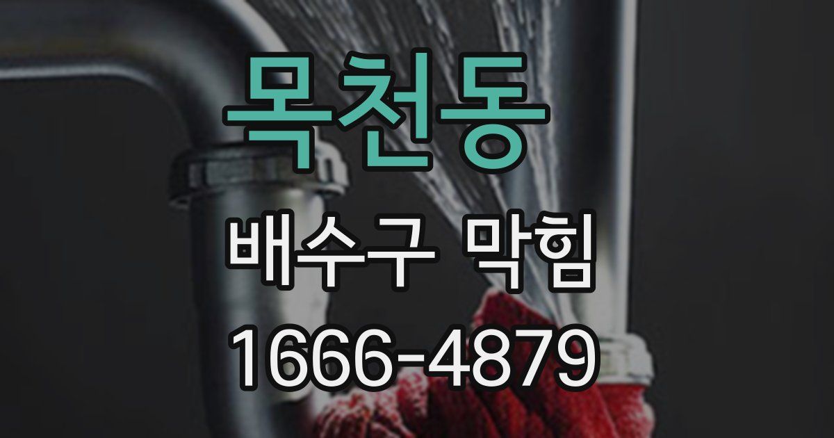 목천동 배수구 막힘