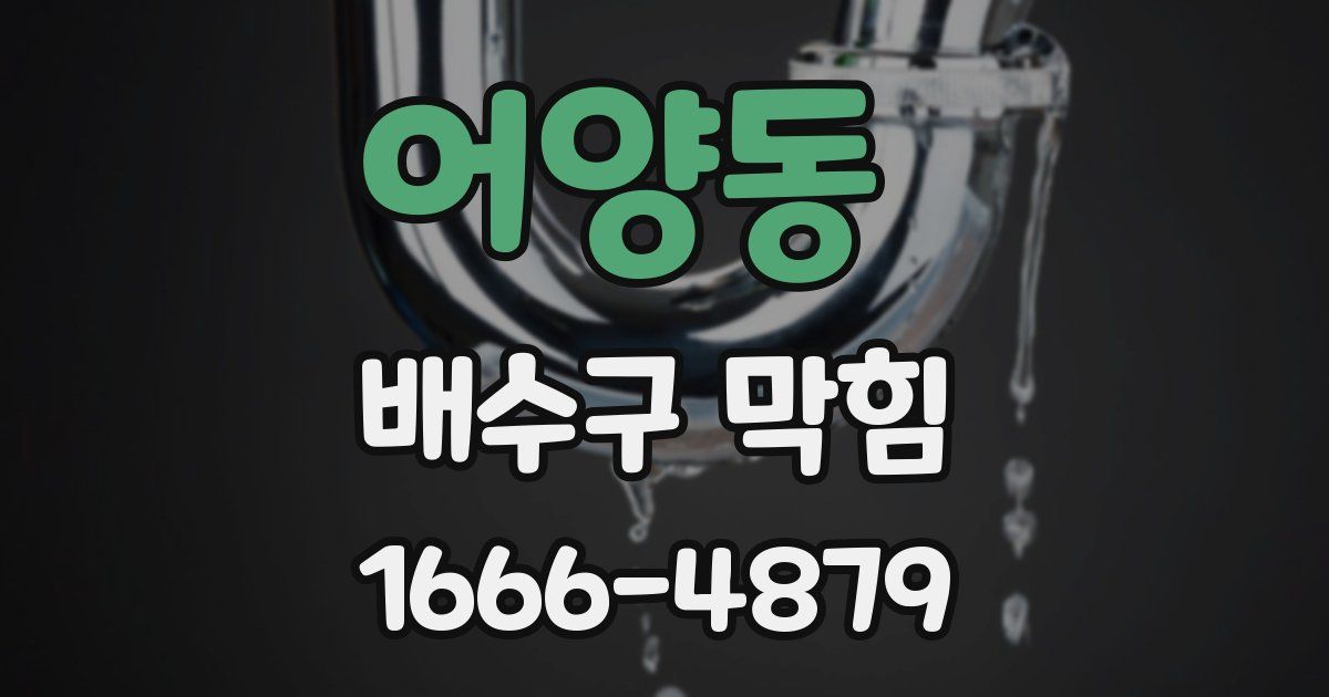 어양동 배수구 막힘