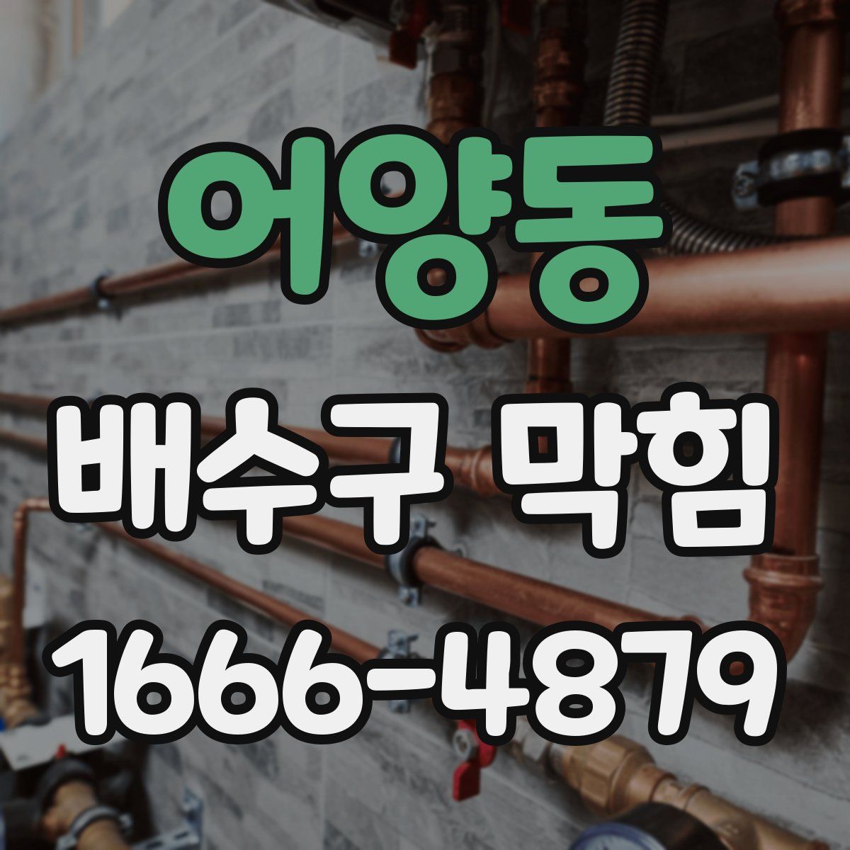 어양동 배수구 막힘