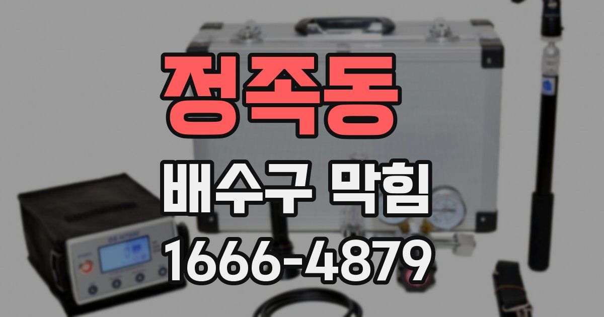 정족동 배수구 막힘