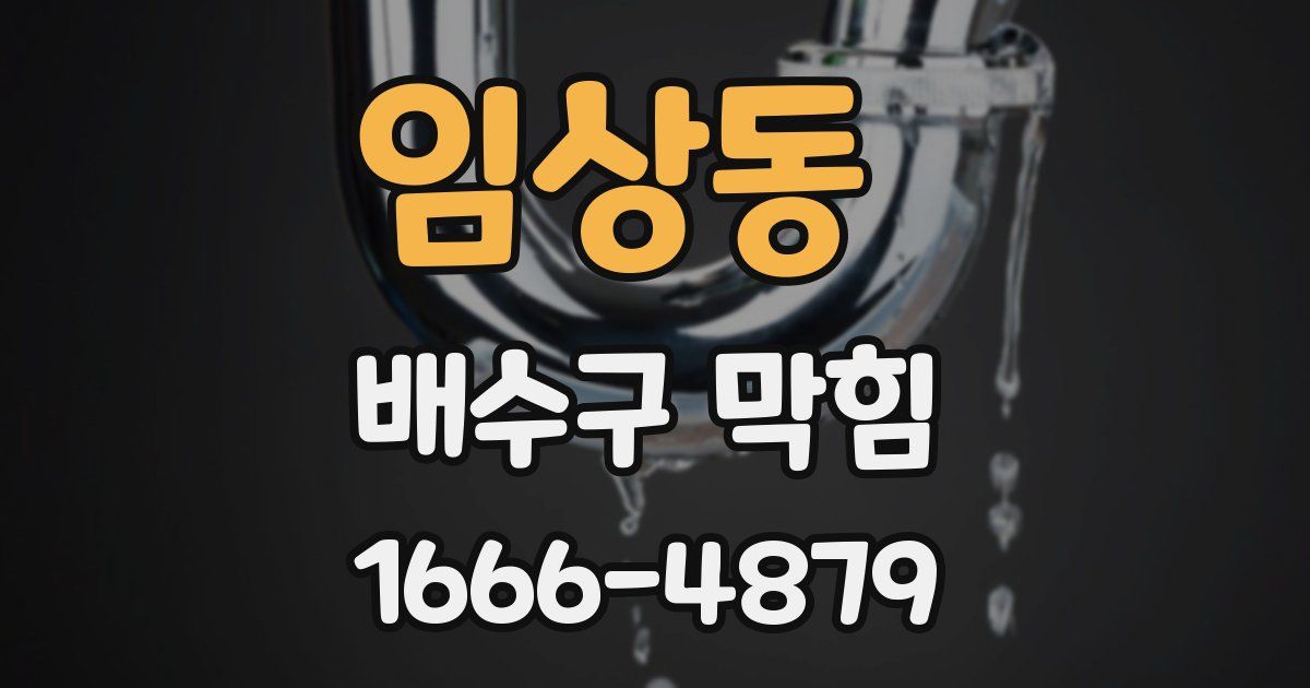 임상동 배수구 막힘