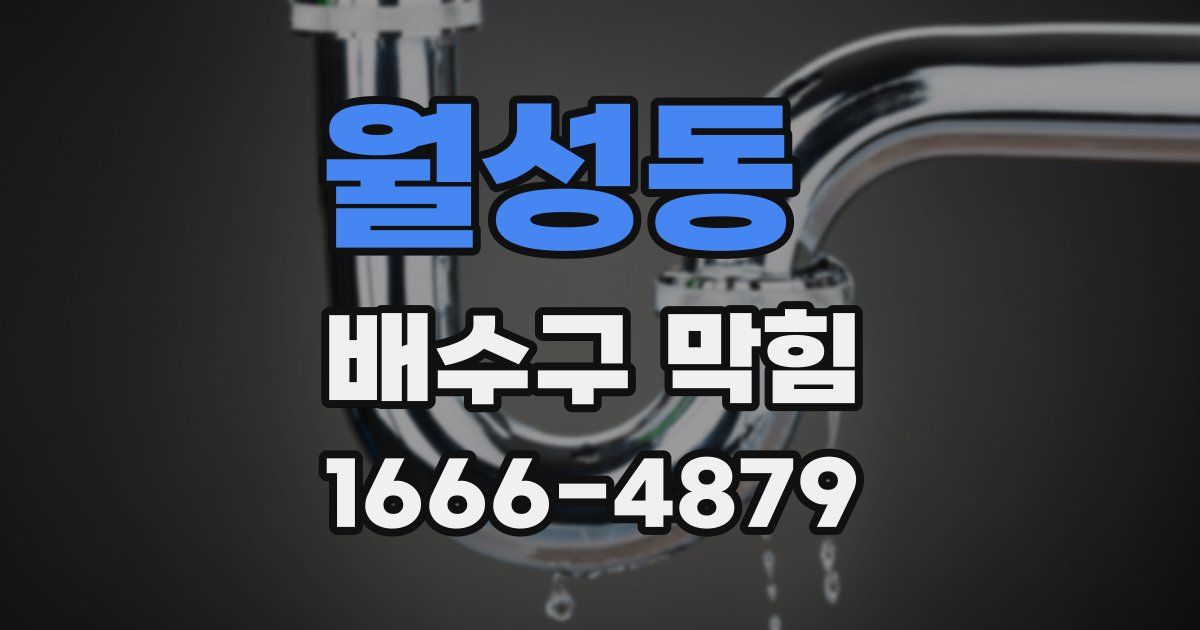 월성동 배수구 막힘