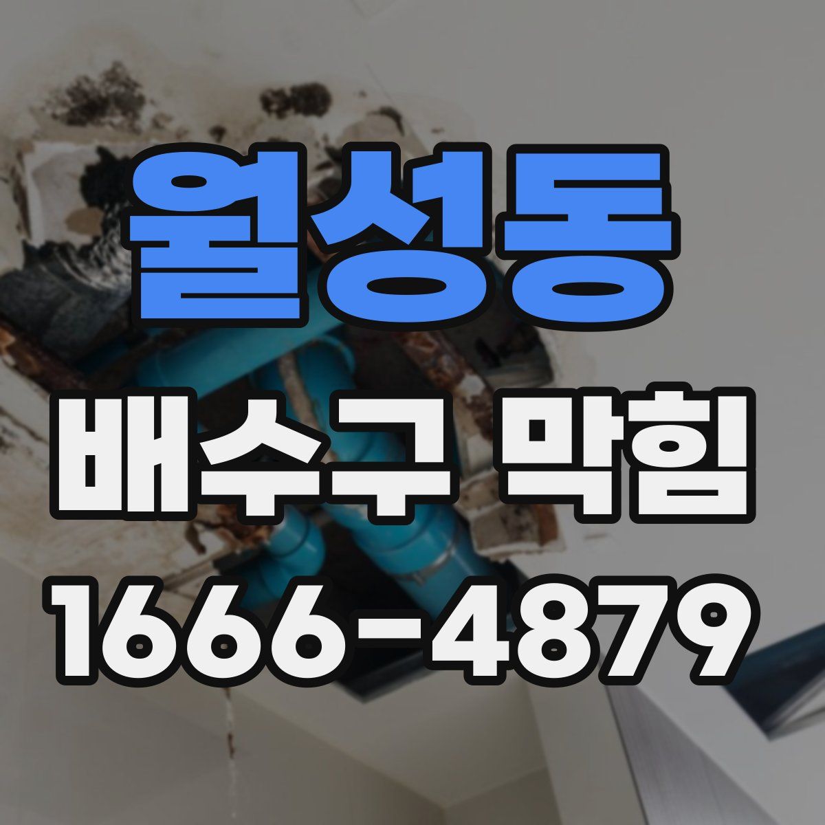 월성동 배수구 막힘