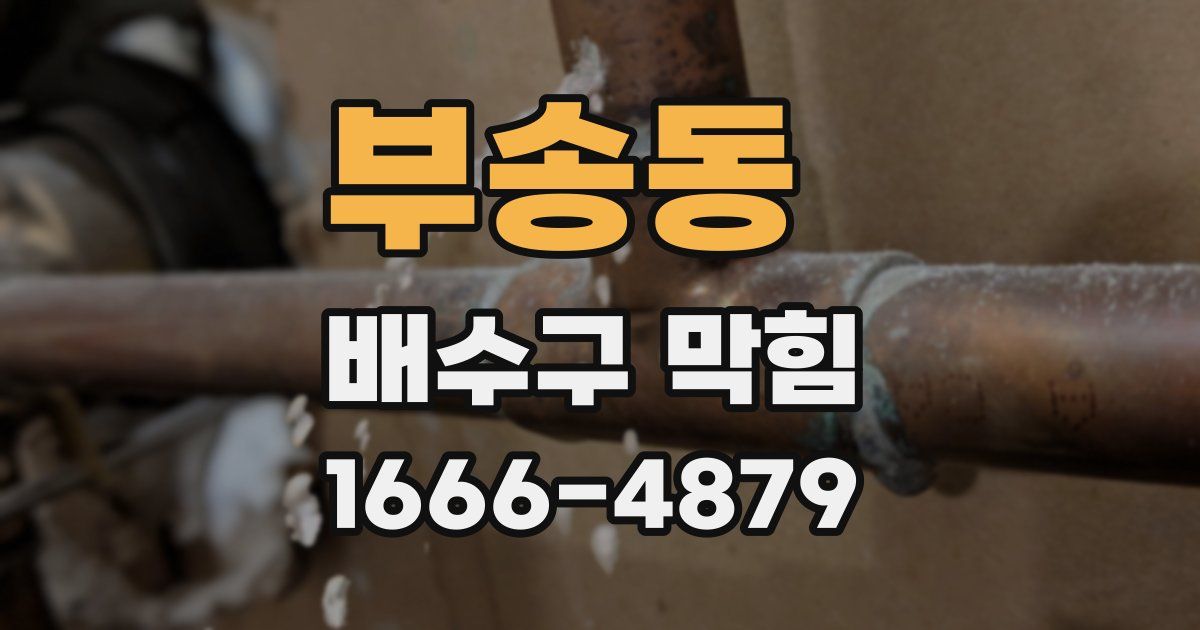 부송동 배수구 막힘