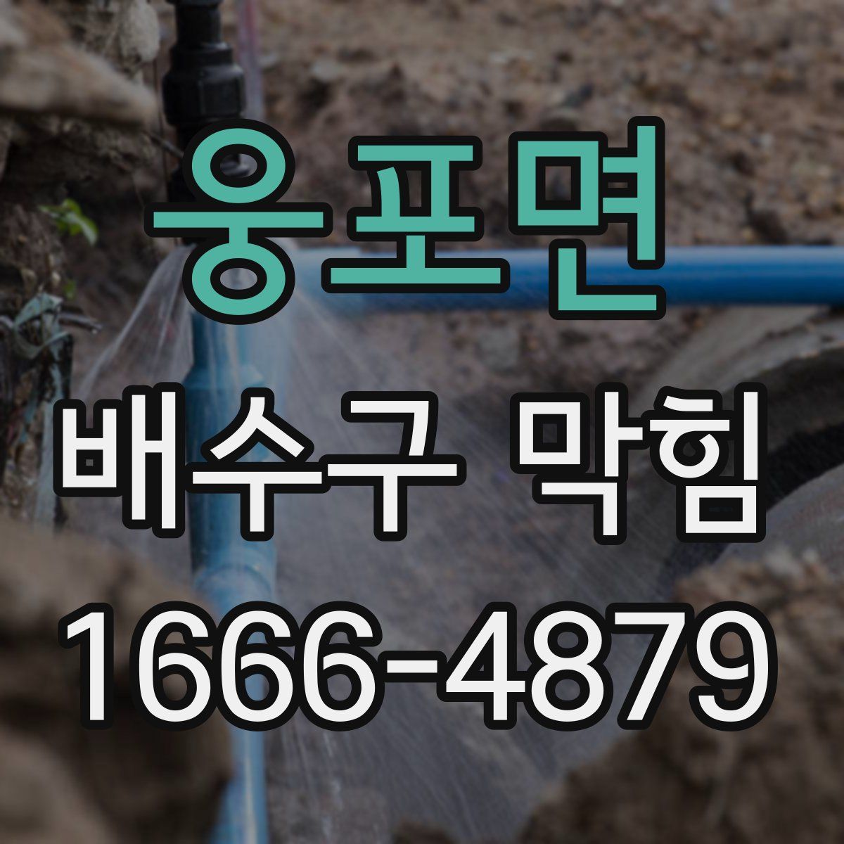 웅포면 배수구 막힘