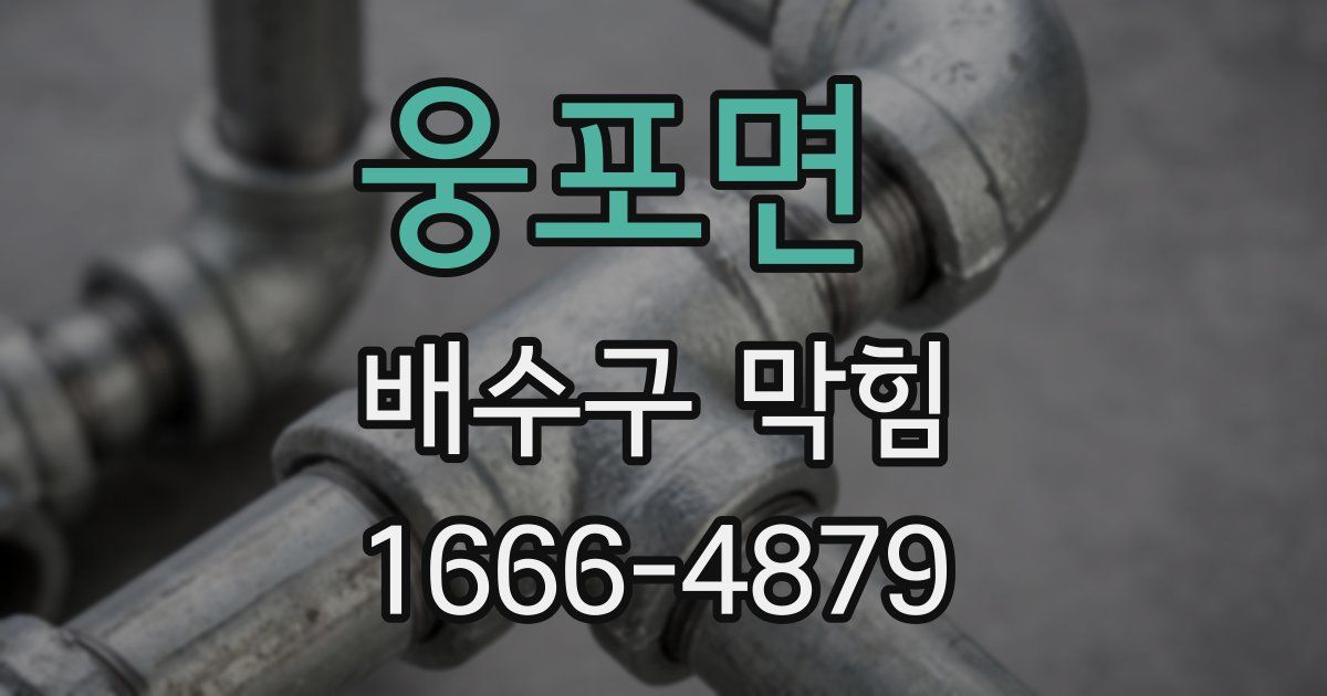 웅포면 배수구 막힘