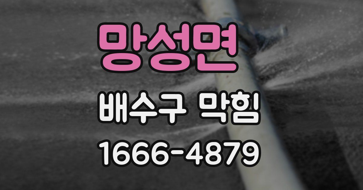 망성면 배수구 막힘