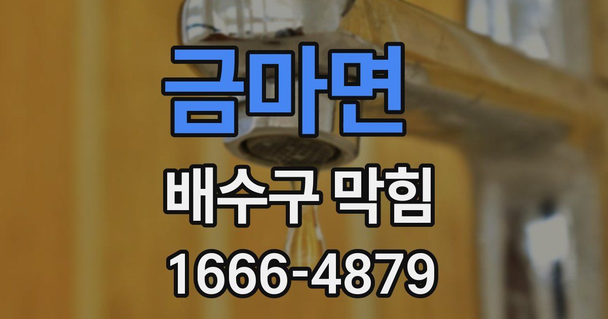 금마면 배수구 막힘
