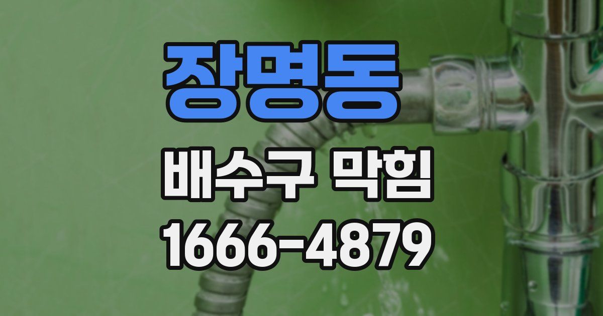장명동 배수구 막힘