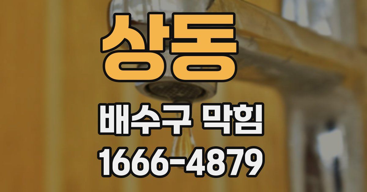 상동 배수구 막힘