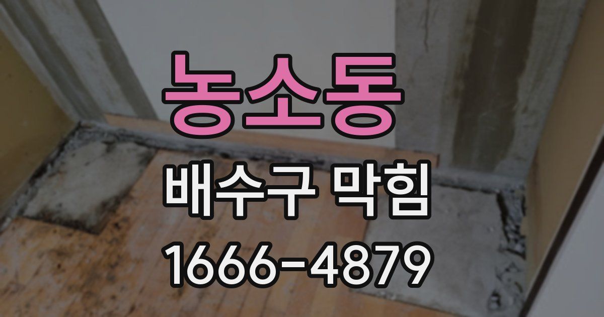 농소동 배수구 막힘