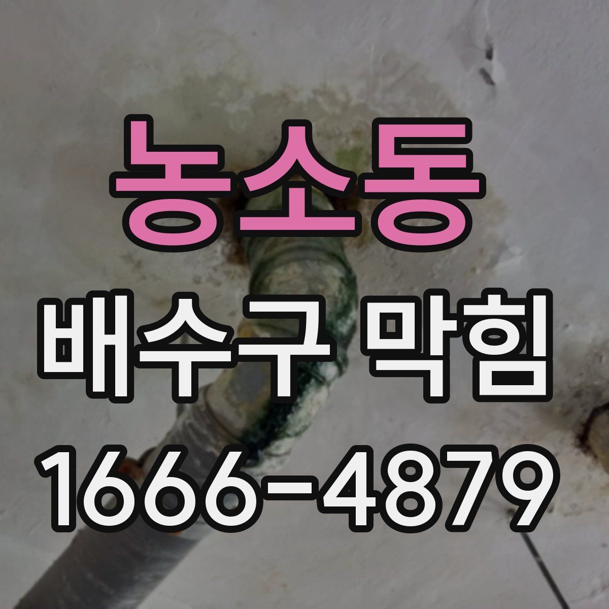 농소동 배수구 막힘