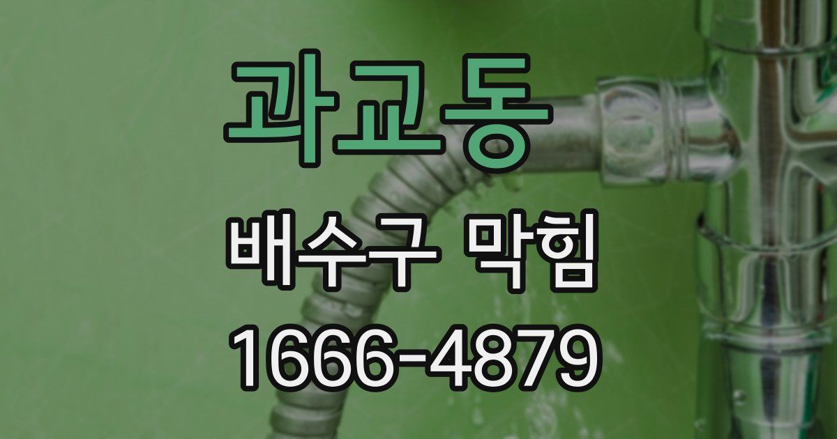 과교동 배수구 막힘