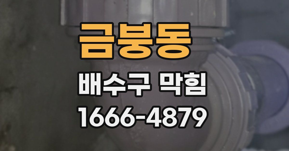 금붕동 배수구 막힘