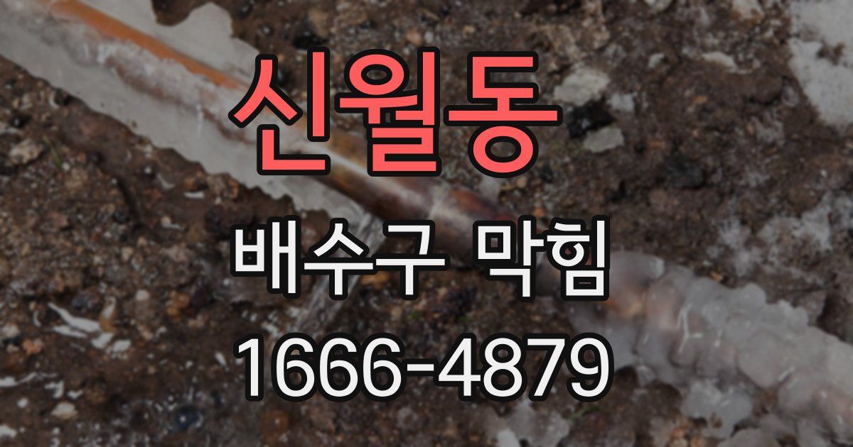 신월동 배수구 막힘