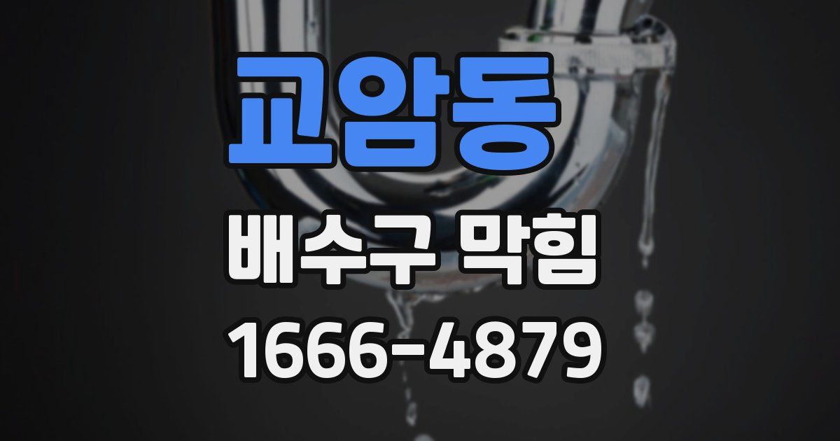 교암동 배수구 막힘