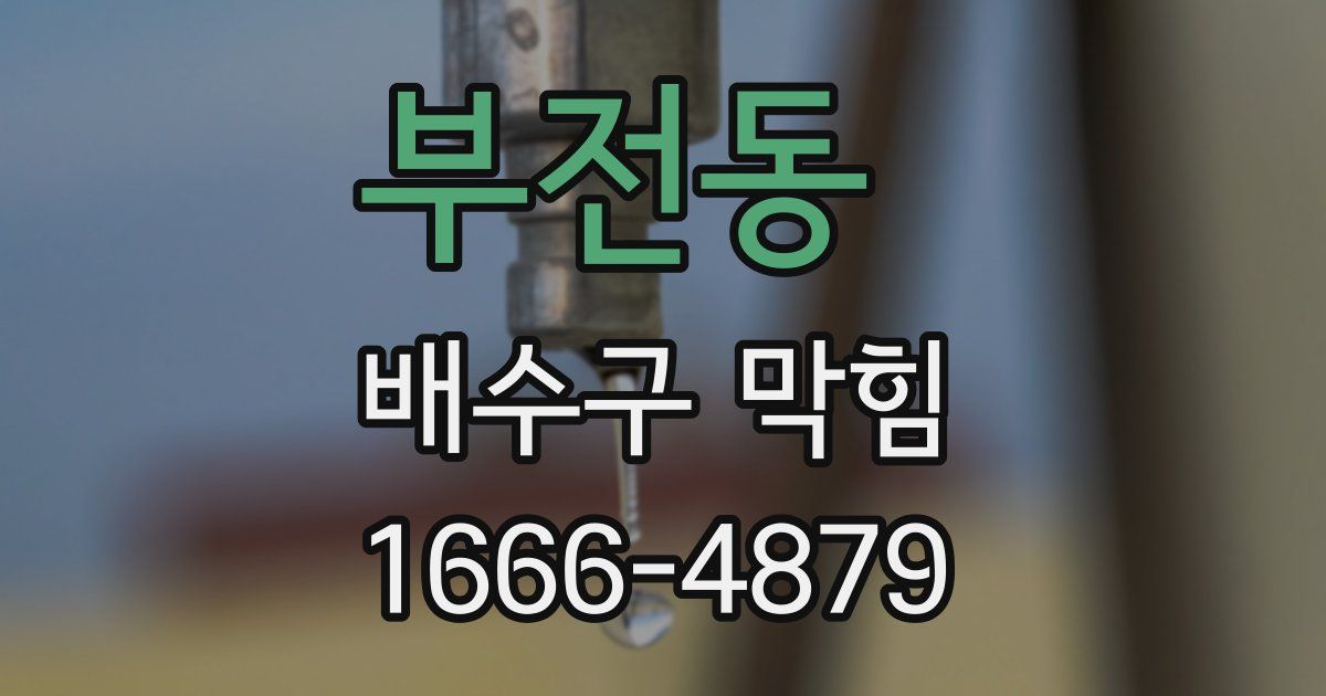 부전동 배수구 막힘