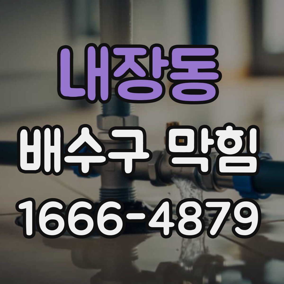 내장동 배수구 막힘
