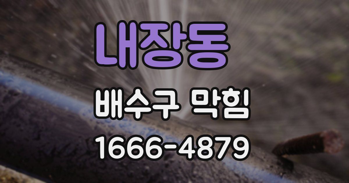 내장동 배수구 막힘
