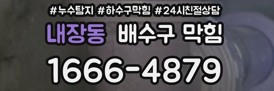 내장동 배수구 막힘