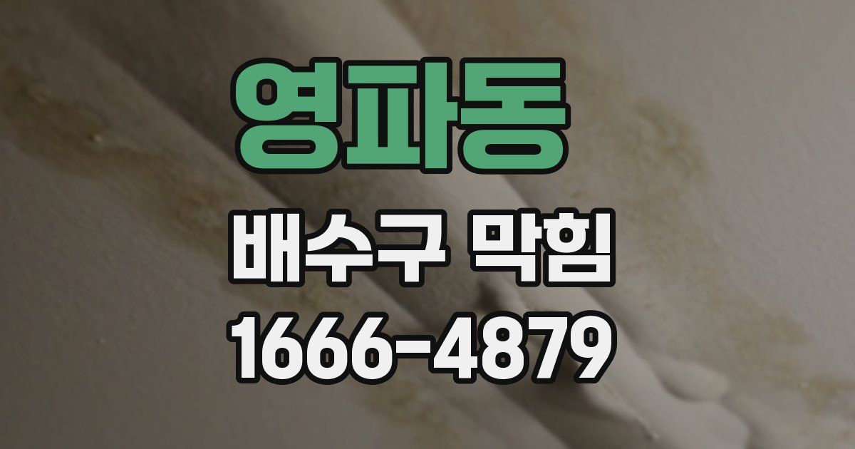 영파동 배수구 막힘