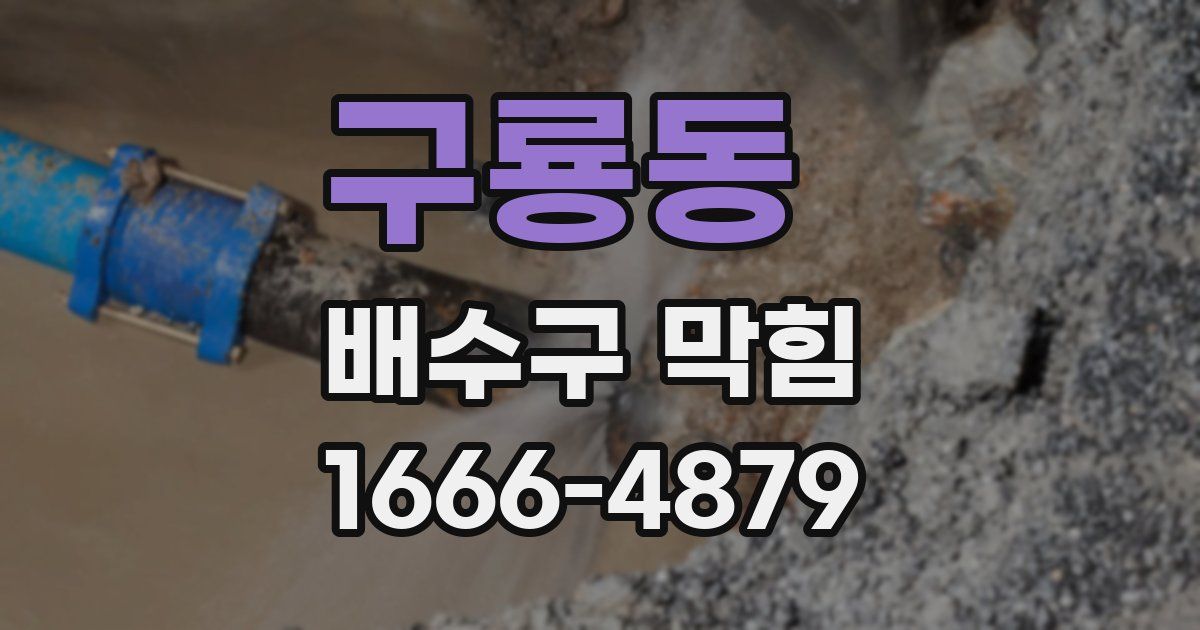 구룡동 배수구 막힘