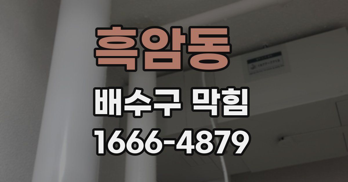 흑암동 배수구 막힘