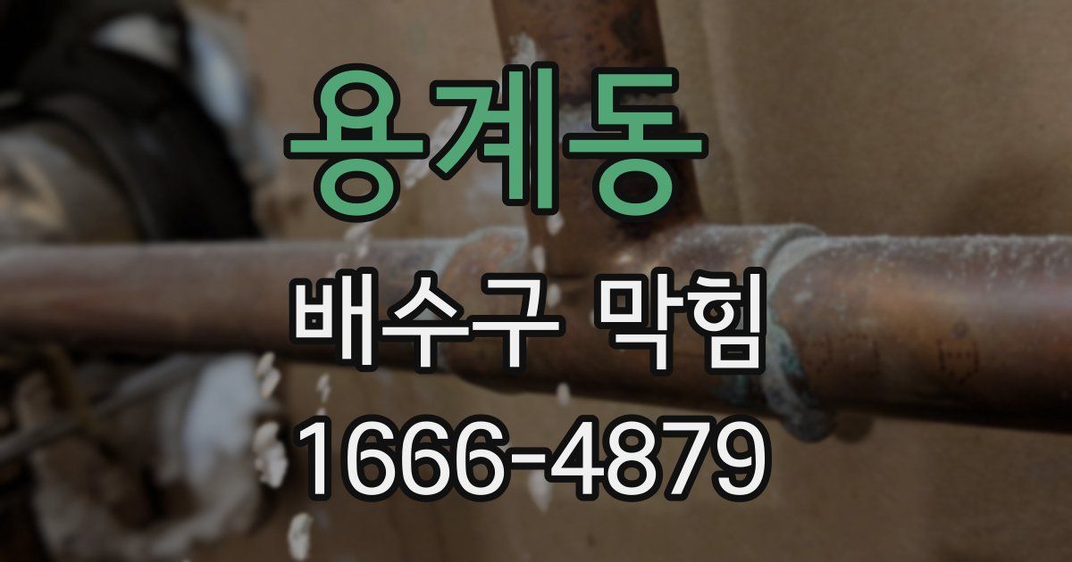 용계동 배수구 막힘