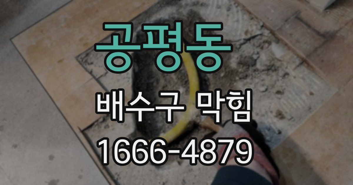 공평동 배수구 막힘