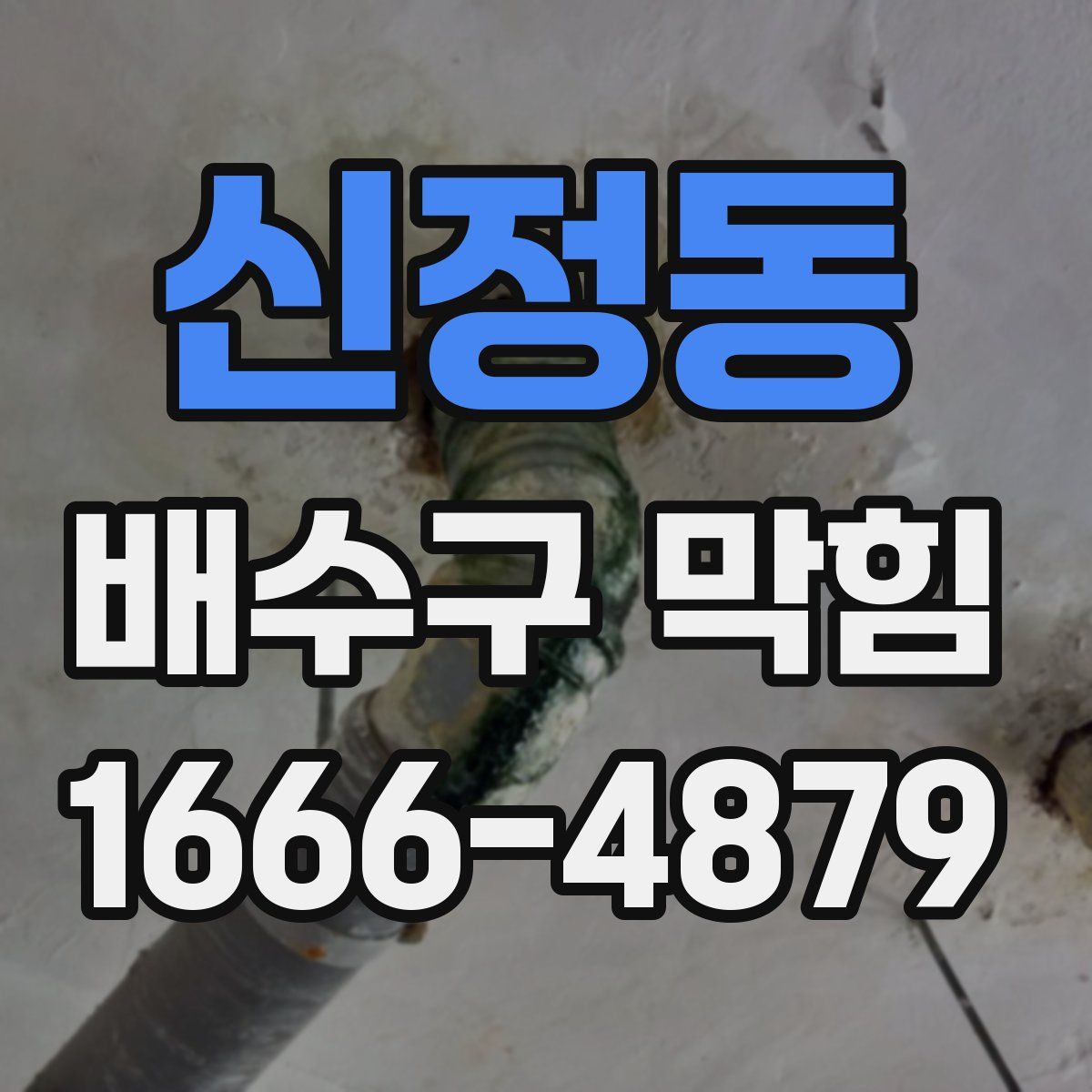신정동 배수구 막힘