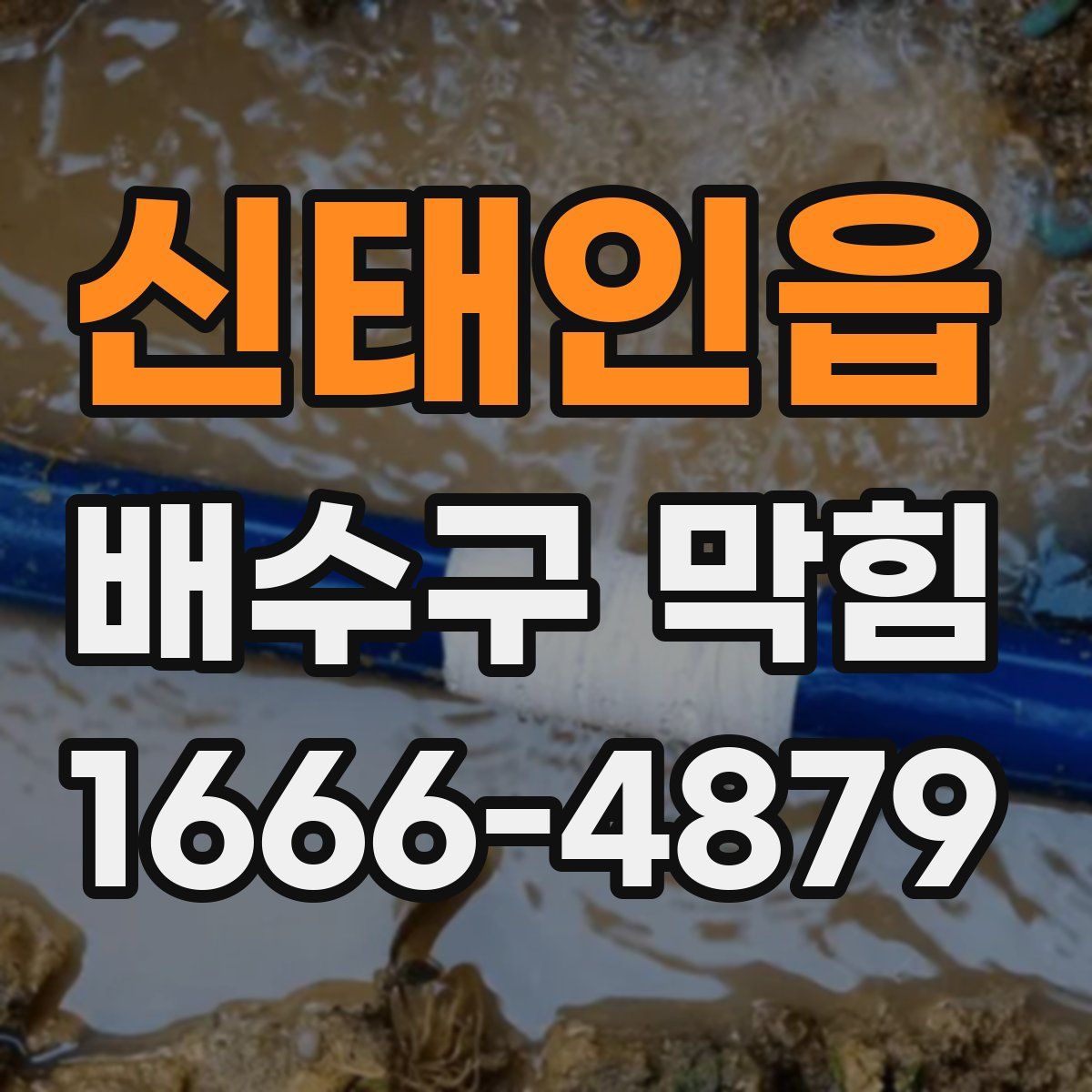 신태인읍 배수구 막힘