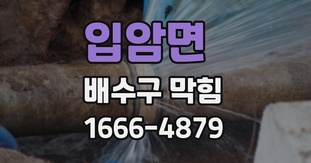 입암면 배수구 막힘