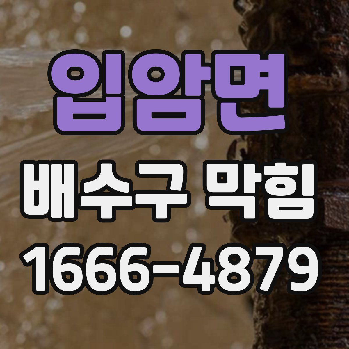 입암면 배수구 막힘