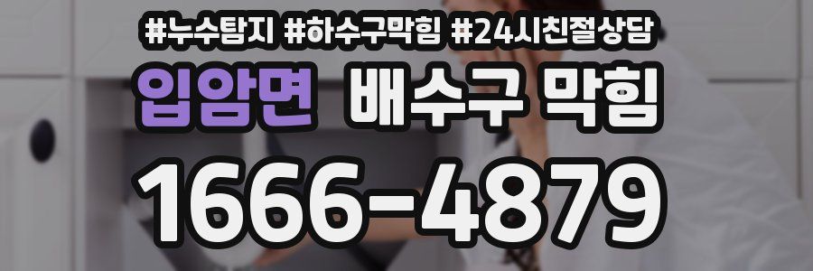 입암면 배수구 막힘