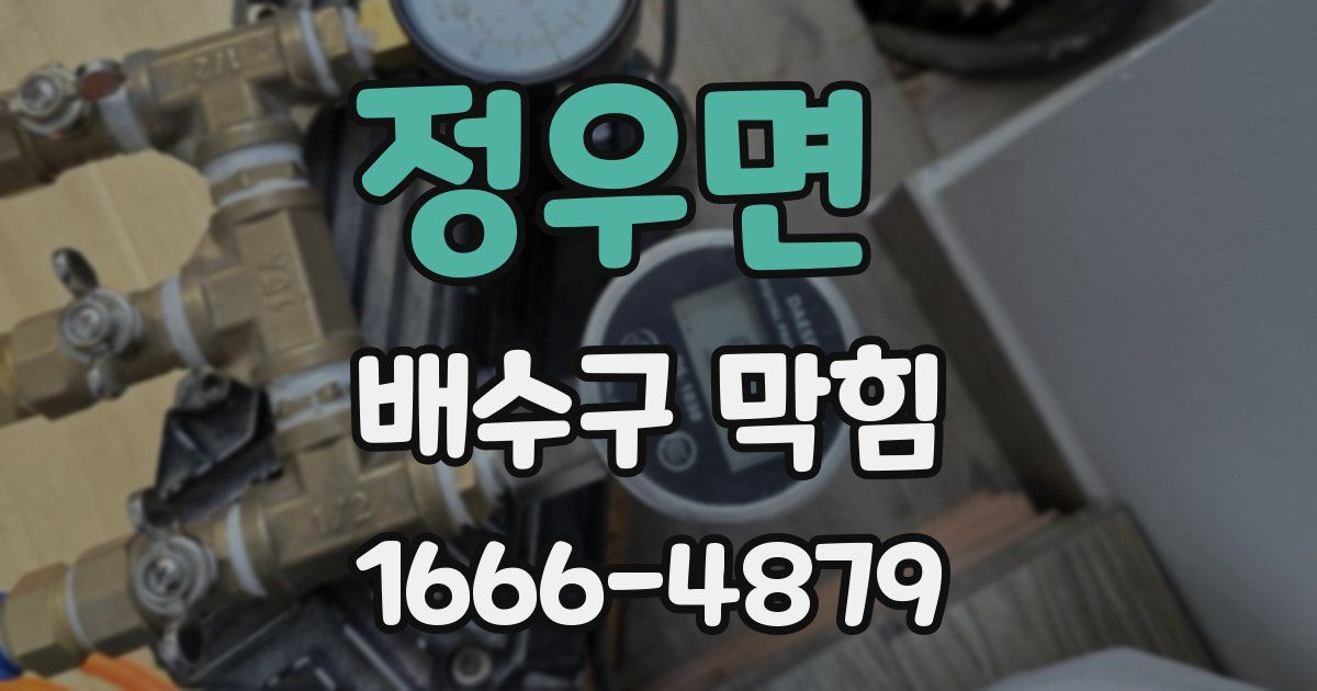 정우면 배수구 막힘
