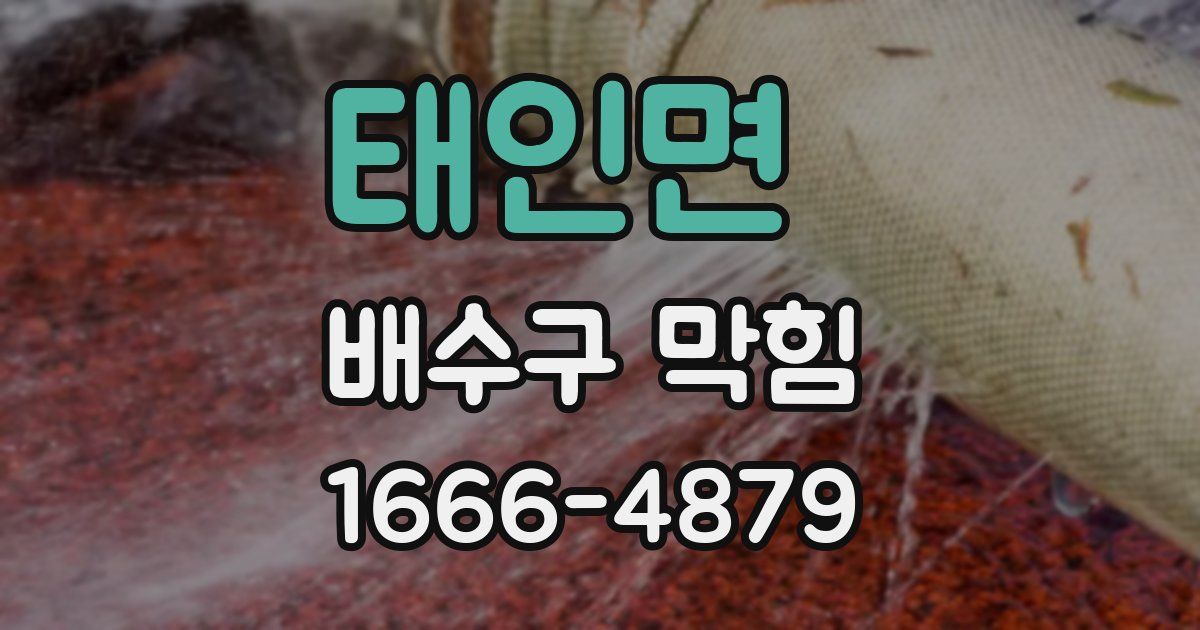 태인면 배수구 막힘