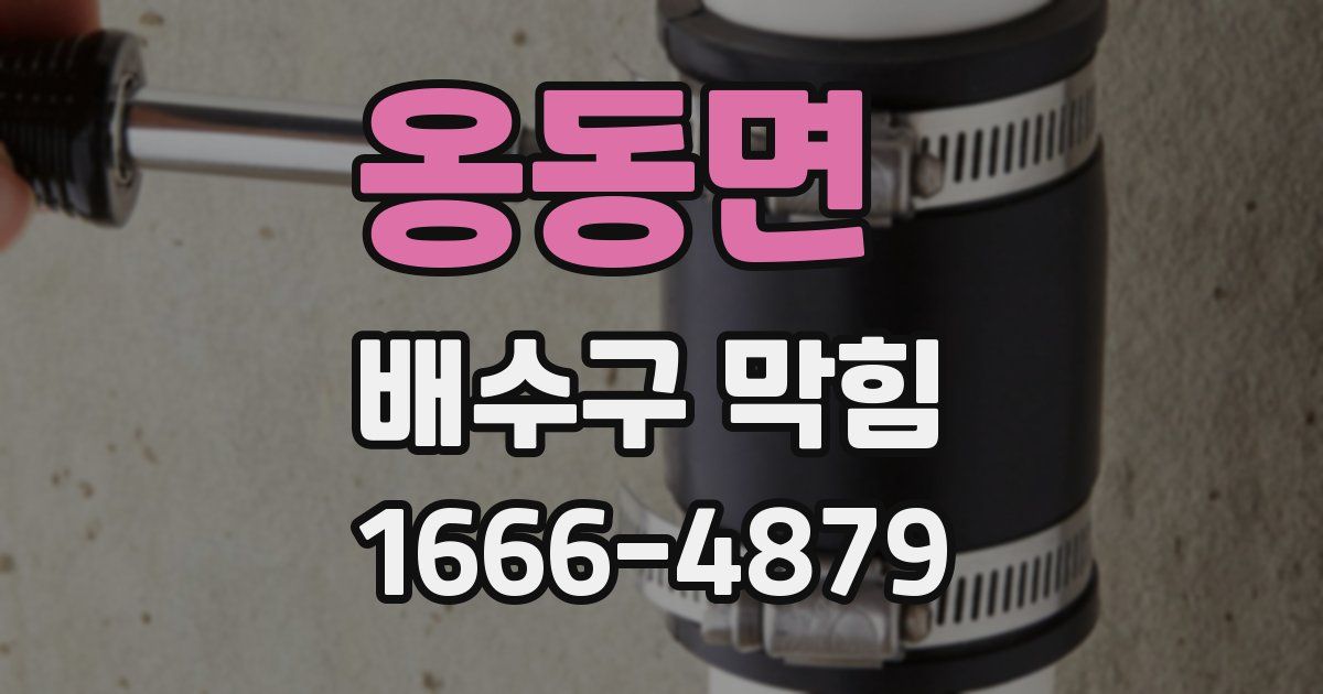 옹동면 배수구 막힘