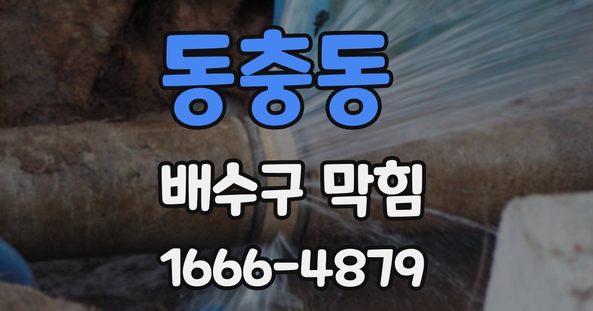 동충동 배수구 막힘