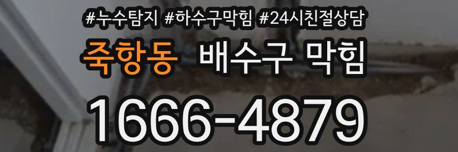 죽항동 배수구 막힘