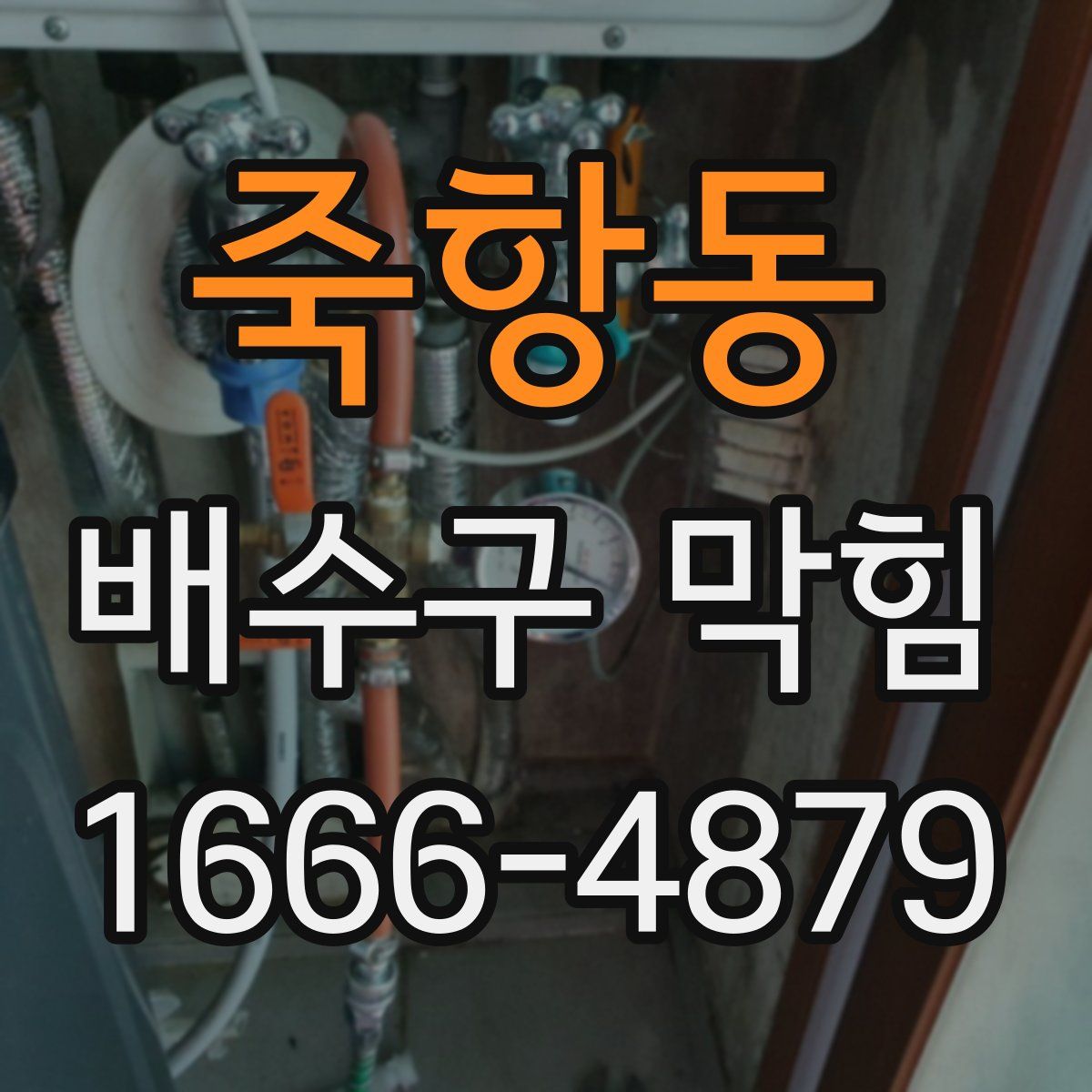 죽항동 배수구 막힘